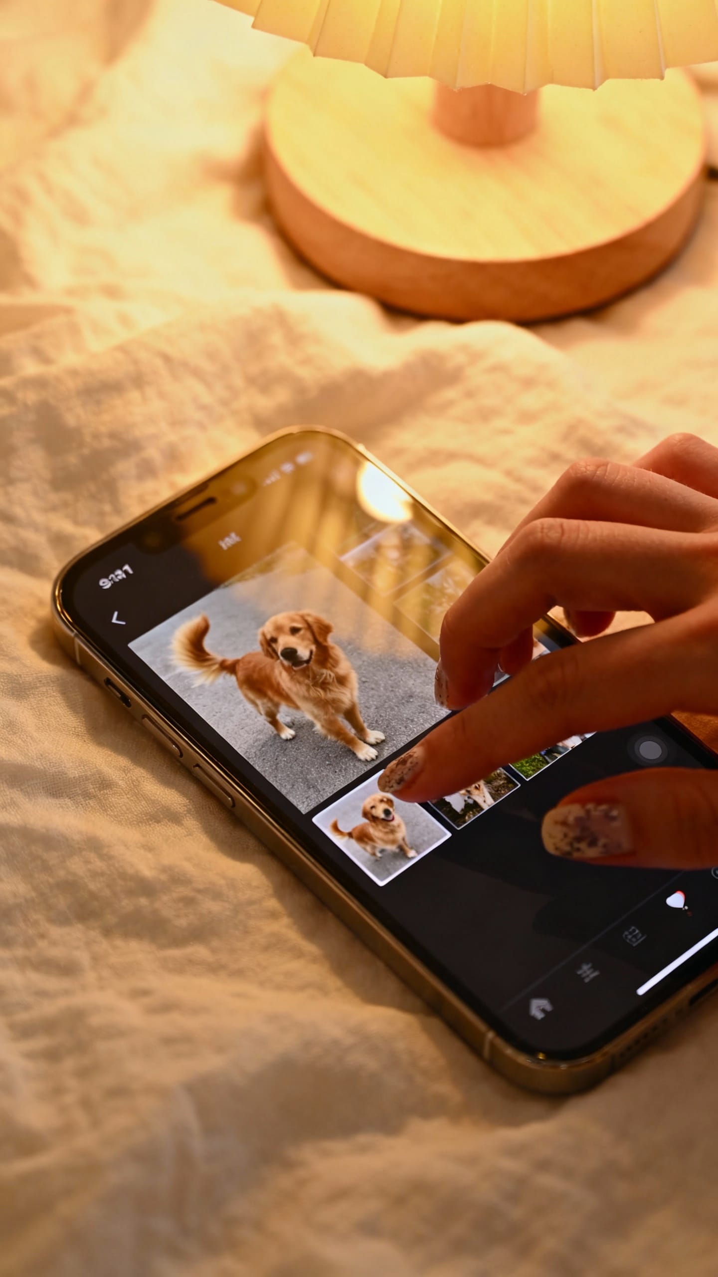 Female hand sorting burst photos on phone gallery, selecting best pet photo, warm lamp light, soft f